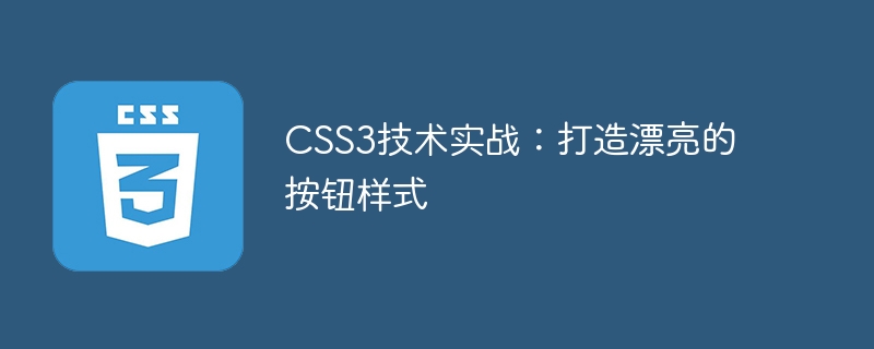 Technische CSS3-Praxis: Erstellen Sie schöne Schaltflächenstile