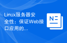 Linux服务器安全性:保证Web接口应用的弹性。