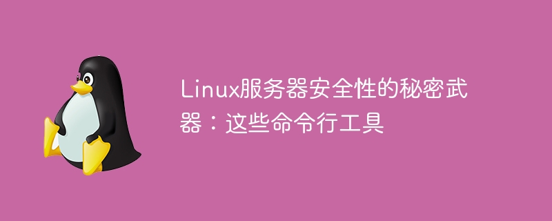 Linux 서버 보안을 위한 비밀 무기: 명령줄 도구