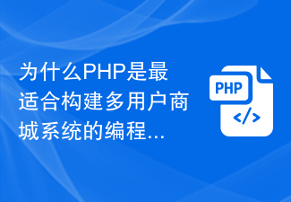 다중 사용자 쇼핑몰 시스템 구축에 PHP가 가장 적합한 프로그래밍 언어인 이유는 무엇입니까?