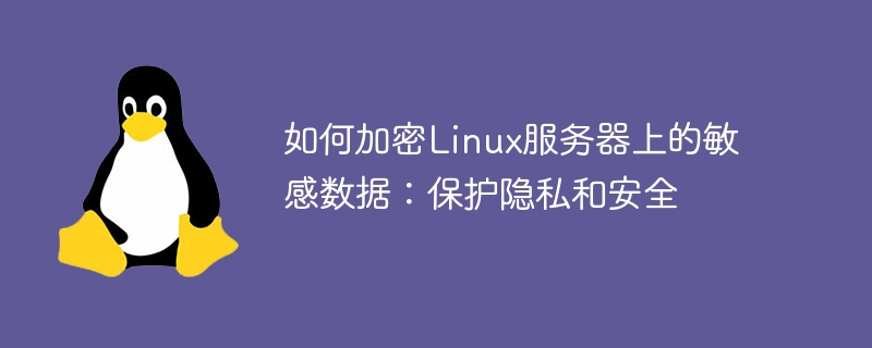 Linux 서버에서 민감한 데이터를 암호화하는 방법: 개인 정보 보호 및 보안 보호