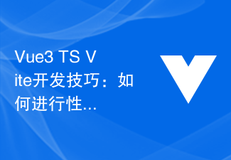 Vue3+TS+Vite 開発スキル: パフォーマンスの最適化とコード分析を実行する方法