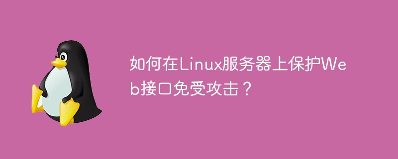 Linux 서버에 대한 공격으로부터 웹 인터페이스를 보호하는 방법은 무엇입니까?