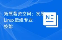 拓展薪资空间:发展Linux运维专业技能