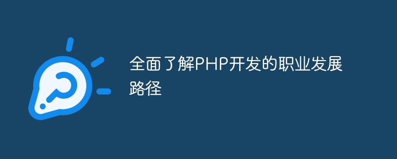 PHP 개발의 진로에 대한 포괄적인 이해