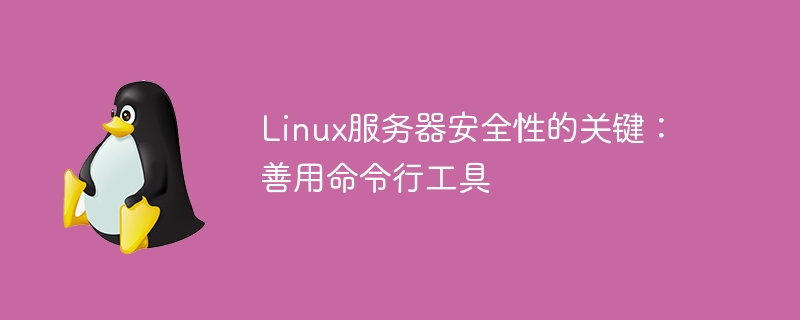 Kunci kepada keselamatan pelayan Linux: Gunakan alat baris arahan dengan baik