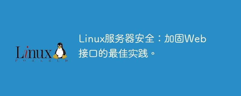 Linux 서버 보안: 웹 인터페이스 강화를 위한 모범 사례.