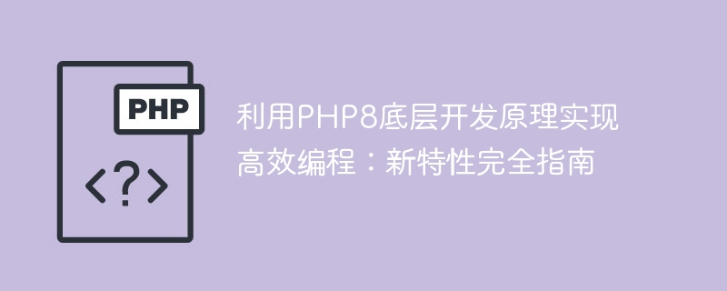 Nutzung der zugrunde liegenden Entwicklungsprinzipien von PHP8 für eine effiziente Programmierung: eine vollständige Anleitung zu neuen Funktionen