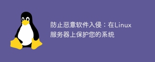 防止恶意软件入侵：在linux服务器上保护您的系统