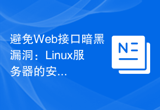 Web インターフェイスのダーク脆弱性の回避: Linux サーバーのセキュリティに関するヒント。