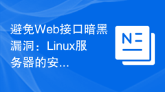 Avoiding Web Interface Dark Vulnerabilities: Security Tips for Linux Servers.