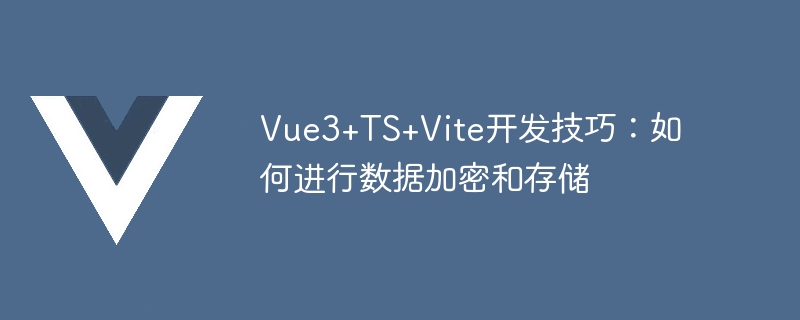 Vue3+TS+Vite development skills: how to encrypt and store data