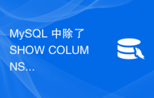 MySQL 中除了 SHOW COLUMNS 之外还有其他语句来获取现有表中的列列表吗？