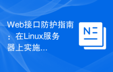 Web接口防护指南:在Linux服务器上实施最佳实践。