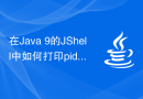 在Java 9的JShell中如何打印pid、info、children和销毁进程？