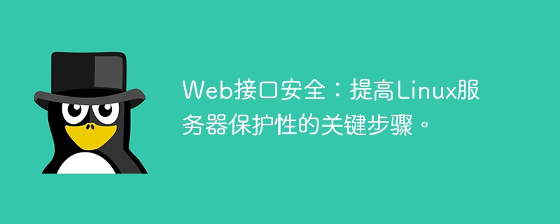 Web接口安全：提高Linux服务器保护性的关键步骤。