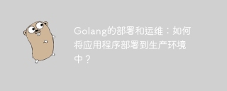 golang的部署和运维：如何将应用程序部署到生产环境中？
