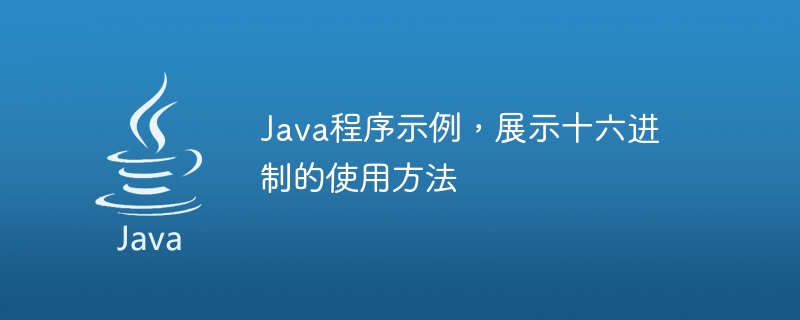 16진수 사용 방법을 보여주는 Java 프로그램 예