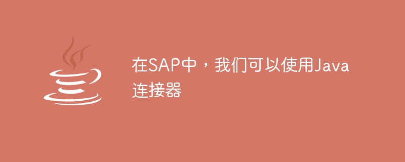 在SAP中，我们可以使用Java连接器