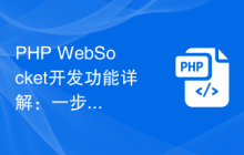 PHP WebSocket开发功能详解：一步步实现你想要的效果