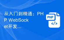 从入门到精通：PHP WebSocket开发实现功能的完整指南