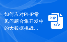 如何应对PHP常见问题合集开发中的大数据挑战