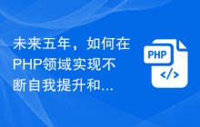 未来五年，如何在PHP领域实现不断自我提升和持续学习？