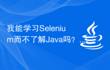 我能学习Selenium而不了解Java吗？