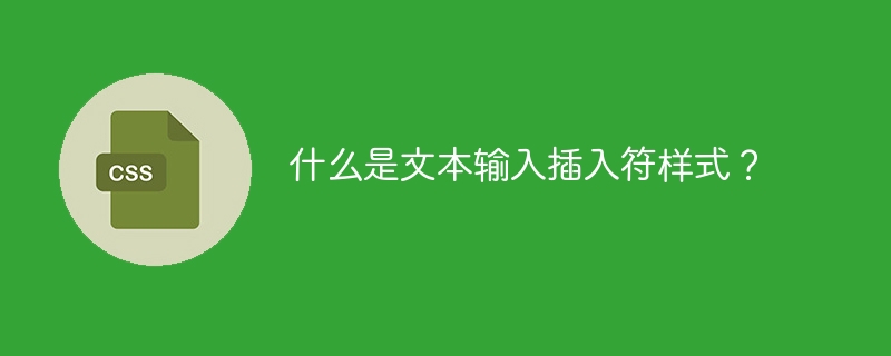 텍스트 입력 캐럿 스타일이란 무엇입니까?