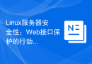 Linux服务器安全性：Web接口保护的行动计划。