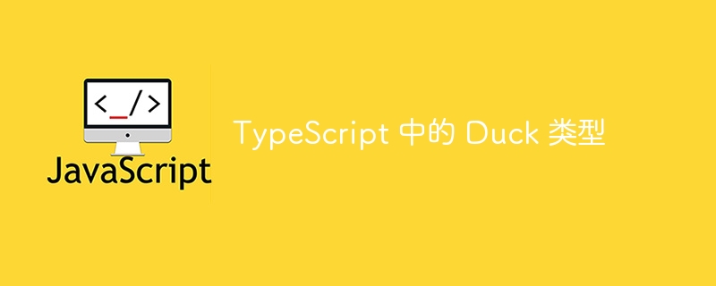 TypeScript 中的 Duck 类型