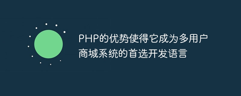 PHP的优势使得它成为多用户商城系统的首选开发语言