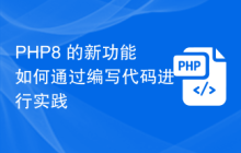 PHP8 的新功能如何通过编写代码进行实践