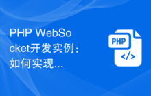 PHP WebSocket开发实例：如何实现特定功能的实践案例