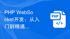 PHP WebSocket開發:從入門到精通的功能實作指南一網打盡