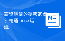薪资翻倍的秘密武器：精通Linux运维