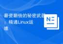 薪资翻倍的秘密武器：精通Linux运维