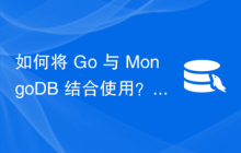 如何将 Go 与 MongoDB 结合使用？