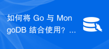 How to use Go with MongoDB?
