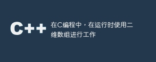 在c编程中，在运行时使用二维数组进行工作