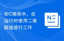 在C编程中，在运行时使用二维数组进行工作