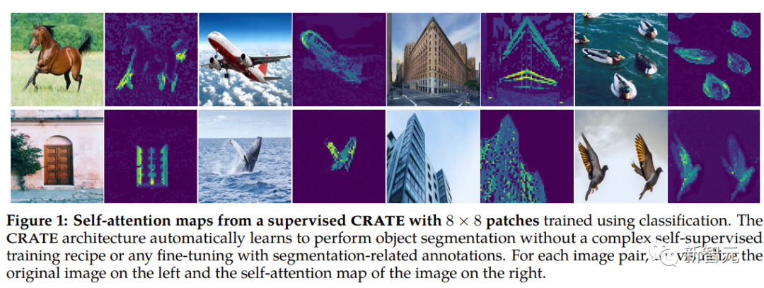 Professor Ma Yis new work: White-box ViT successfully achieves partitioned emergence, is the era of empirical deep learning coming to an end?