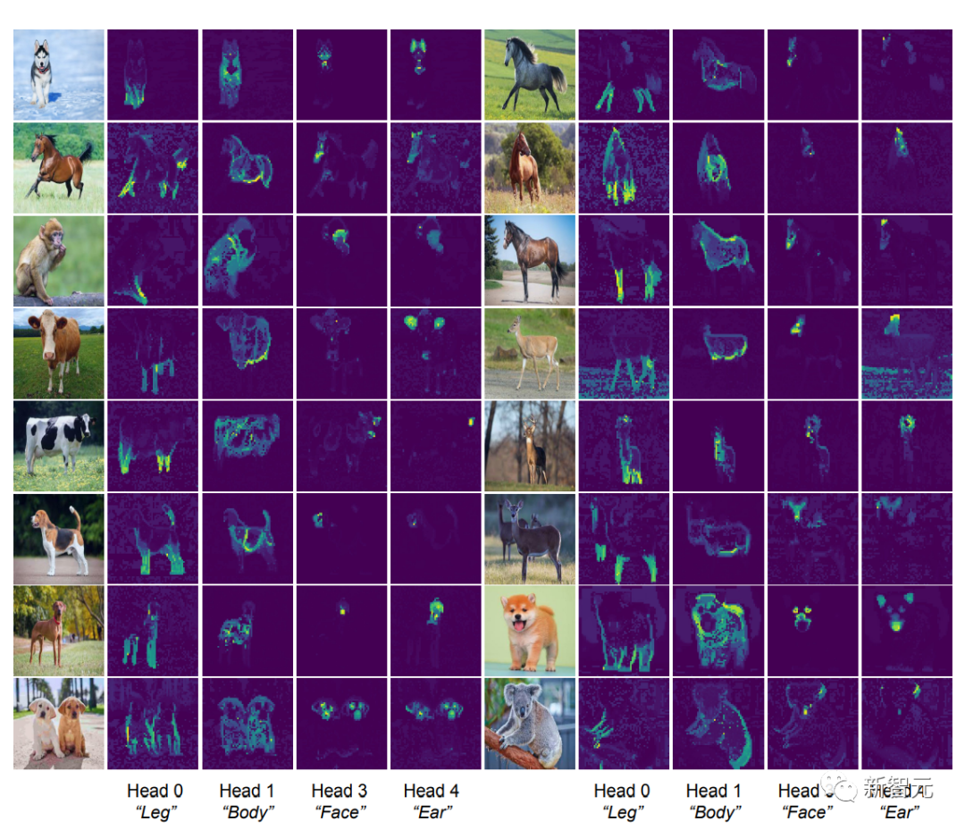 Professor Ma Yis new work: White-box ViT successfully achieves partitioned emergence, is the era of empirical deep learning coming to an end?