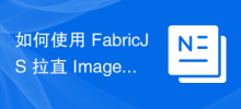 如何使用 FabricJS 拉直 Image 物件？