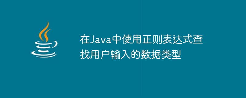 Java에서 정규식을 사용하여 사용자 입력 데이터 유형 찾기