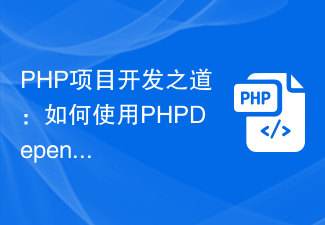 PHP 프로젝트 개발 방법: PHPDepend를 사용하여 최적화를 위한 소프트웨어 지표를 측정하는 방법