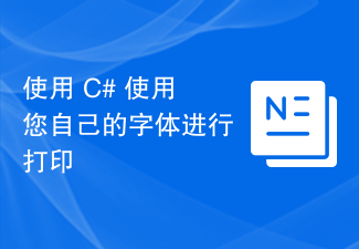 C#을 사용하여 자신만의 글꼴을 사용하여 인쇄