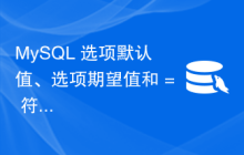 MySQL 选项默认值、选项期望值和 = 符号