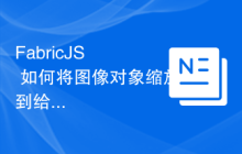 FabricJS – 如何将图像对象缩放到给定宽度？