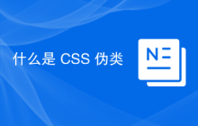 什么是 CSS 伪类
